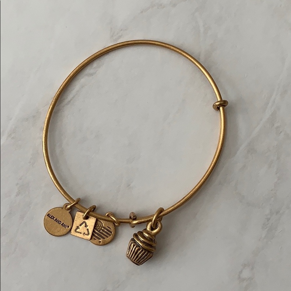 Alex and Ani Gold Bracelet